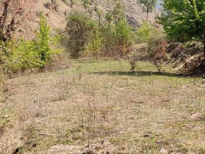 Agricultural Land 96000 Sq. Yards for Sale in kosi Almora