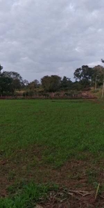 Agricultural Land 103 Guntha for Sale in Palya, Hassan