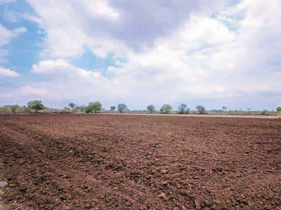 Agricultural Land 100 Acre for Sale in Pune Pune