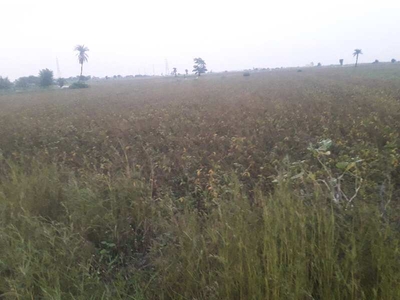 Agricultural Land 26535 Sq.ft. for Sale in