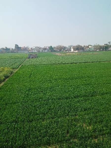 Agricultural Land 5 Acre for Sale in Rewari Rural