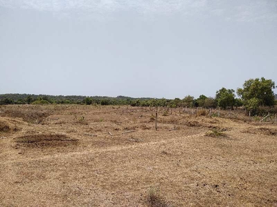 Agricultural Land 70 Acre for Sale in