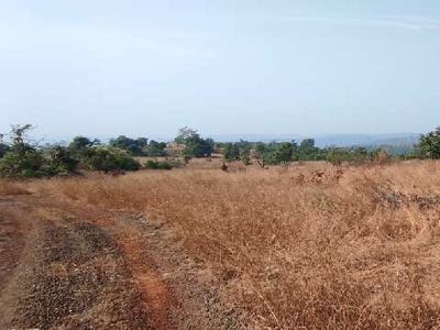 Agricultural Land 200 Acre for Sale in Sudhagad, Raigad