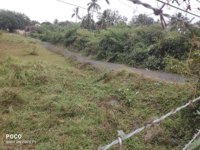 Commercial Land 12000 Sq. Yards for Sale in Vashier Valley, Valsad