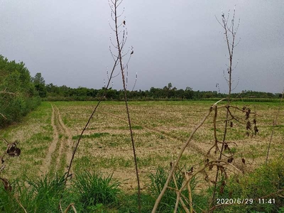 Commercial Land 2 Acre for Sale in Dasuya Road, Hoshiarpur
