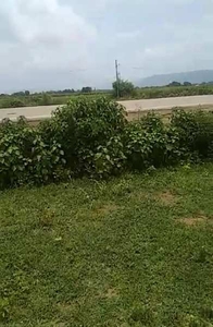 Commercial Land 26200 Sq.ft. for Sale in NH 31, Nawada