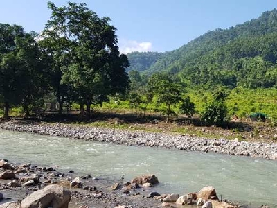 Commercial Land 3 Acre for Sale in Neelkanth Road, Rishikesh