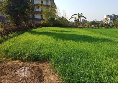 Commercial Land 616 Sq. Yards for Sale in Bidholi, Dehradun