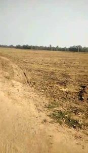 Commercial Land 30 Bigha for Sale in