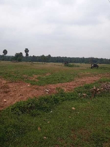 Commercial Land 10 Acre for Sale in Kinathukadavu, Coimbatore