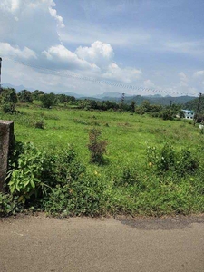 Commercial Land 42 Guntha for Sale in Mahad, Raigad