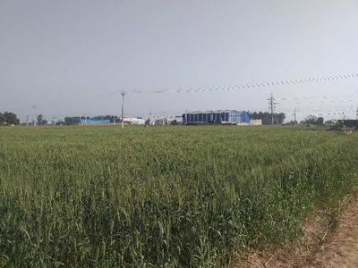 Industrial Land 10 Acre for Sale in NH 1, Rajpura