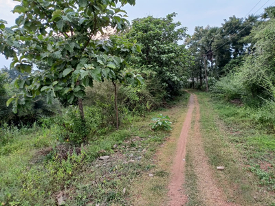 Industrial Land 263 Cent for Sale in Kaniyambadi, Vellore