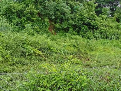 Industrial Land 5 Cent for Sale in Vadakkencherry, Palakkad