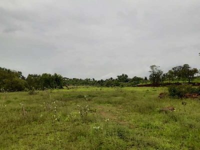 Industrial Land 44 Cent for Sale in Kolad, Raigad