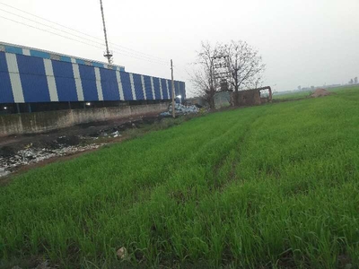 Industrial Land 10 Acre for Sale in Nilpur, Rajpura