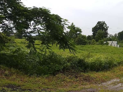 Industrial Land 70 Acre for Sale in