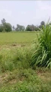 Residential Plot 1 Biswa for Sale in Bindki, Fatehpur-UP