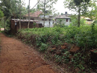 Residential Plot 10 Cent for Sale in Koothuparamba, Kannur