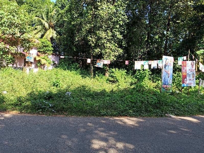 Residential Plot 10 Cent for Sale in Omalloor, Pathanamthitta