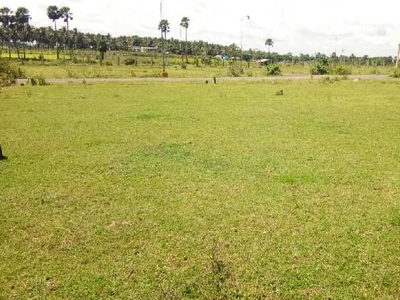 Residential Plot 1200 Sq.ft. for Sale in Nachipalayam, Coimbatore
