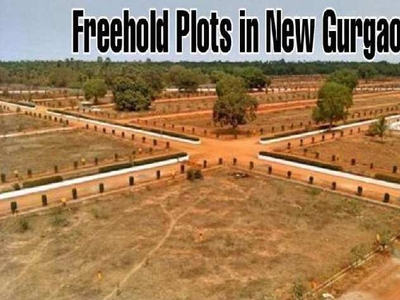 Residential Plot 121 Sq. Yards for Sale in Sector 95A Gurgaon