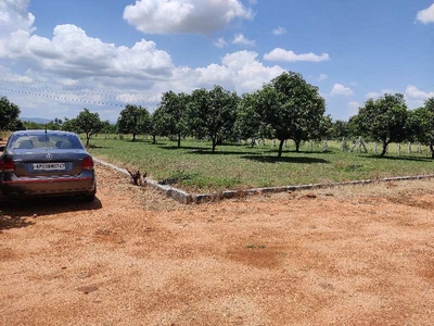 Residential Plot 1353 Sq.ft. for Sale in Vadamalapet, Chittoor