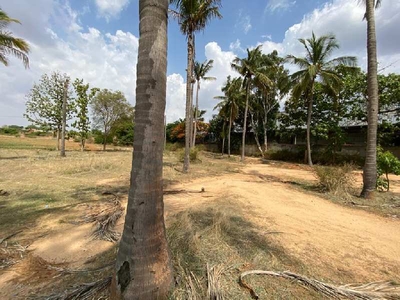 Residential Plot 15 Acre for Sale in