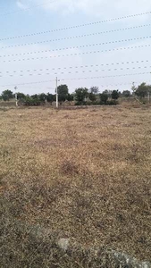 Residential Plot 167 Sq. Yards for Sale in Eliminedu, Rangareddy