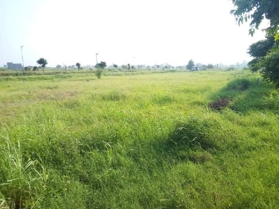 Residential Plot 1800 Sq.ft. for Sale in Mullanpur, Chandigarh