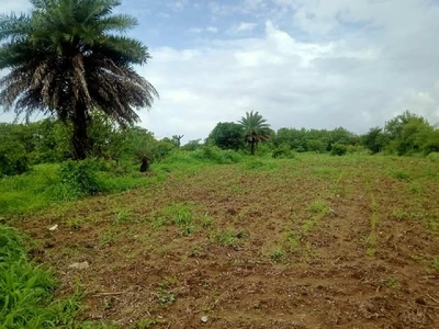 Residential Plot 2 Acre for Sale in