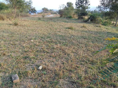 Residential Plot 20 Marla for Sale in Bangana, Una