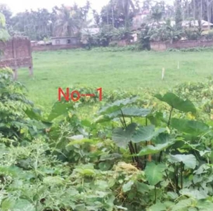 Residential Plot 2013 Sq.ft. for Sale in Mahabhairab, Tezpur