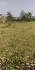 Residential Plot 213 Sq. Yards for Sale in