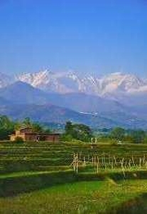 Residential Plot 2870 Sq. Yards for Sale in Banuri, Palampur