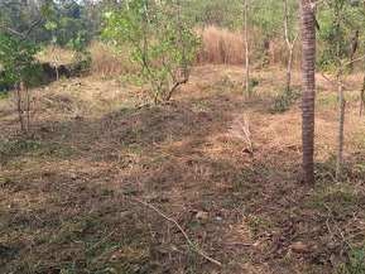 Residential Plot 55 Cent for Sale in Taliparamba, Kannur