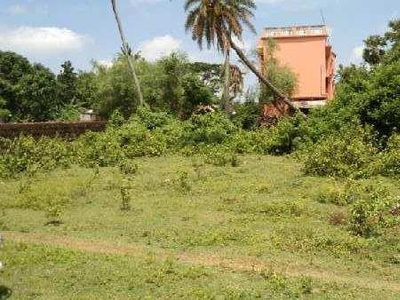 Residential Plot 5662 Sq.ft. for Sale in Bahugram, Cuttack