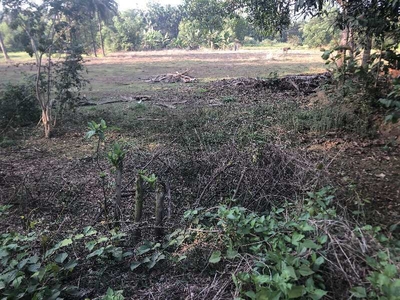 Residential Plot 6 Cent for Sale in Dharmasthala, Mangalore