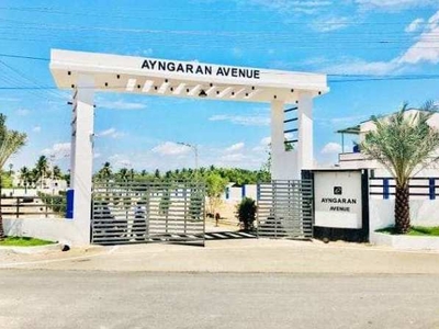 Ayngaran avenue