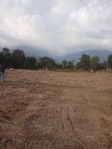 Residential Plot 605 Sq. Yards for Sale in Dari, Dharamsala