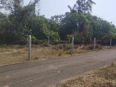 Residential Plot 650 Sq. Meter for Sale in Piligao,