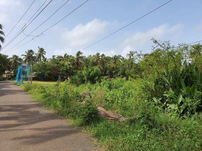 Residential Plot 730 Sq. Meter for Sale in Benaulim, Goa