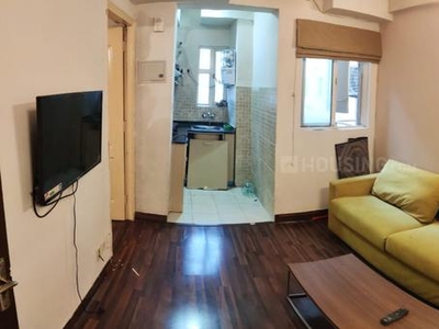 1 BHK Flat for rent in Sector 137, Noida - 495 Sqft