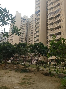 3 BHK Flat for rent in Sector 76, Noida - 1545 Sqft