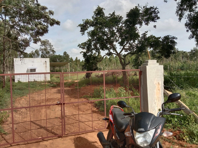 Agricultural Land 2 Ares for Rent in