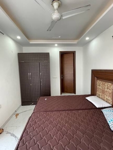 1000 sq ft 2 BHK 2T Apartment for rent in Reputed Builder Saket RWA at Saket, Delhi by Agent VIAAN ASSOCIATES