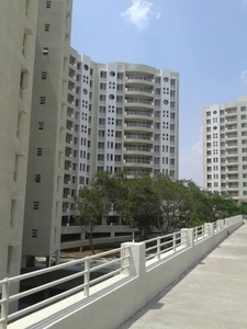 1300 sq ft 2 BHK 2T Apartment for rent in Goel Ganga Ganga Platino Phase III at Kharadi, Pune by Agent Sai Real Estate