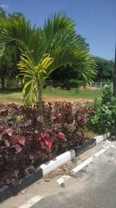 1500 sq ft East facing Plot for sale at Rs 37.60 lacs in Venus county BMRDA approved plots for sale in Jigani, Bangalore