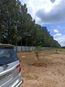 5500 sq ft East facing Plot for sale at Rs 65.45 lacs in Sathvik Elite farm house farm house plots for sale in Hoskote, Bangalore