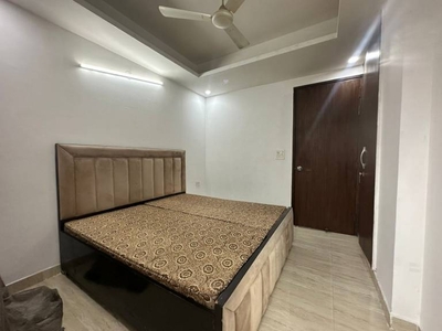 700 sq ft 1 BHK 1T Apartment for rent in Project at Saket, Delhi by Agent VIAAN ASSOCIATES
